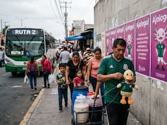 Ajolotes o Merlines: Las 6 fisuras que oculta la narrativa oficial sobre la economía mexicana