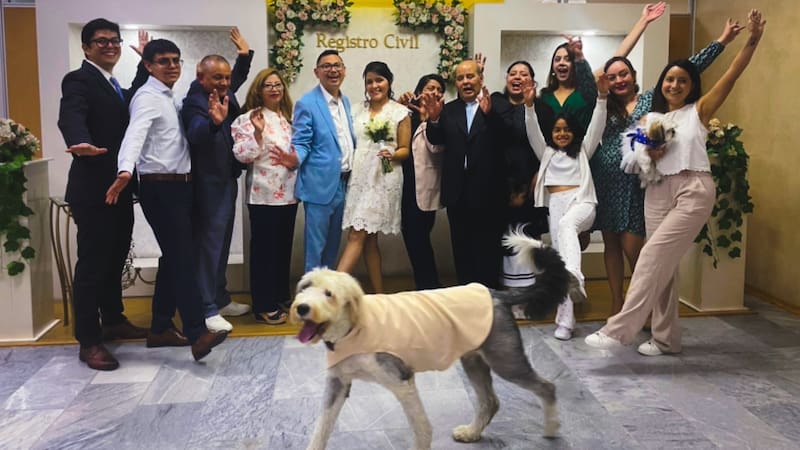 Las parejas interesadas en incluir a sus mascotas en su matrimonio civil pueden agendar su entrevista directamente en las agencias o realizar el proceso a través de la Agencia Virtual de la institución. Foto: Registro Civil del Ecuador.
