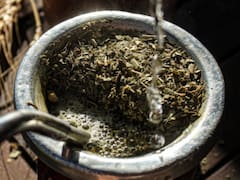 Chau cansancio: la hierba ancestral para agregar al mate que ayuda a potenciar tu energía