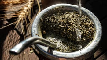 Chau cansancio: la hierba ancestral para agregar al mate que ayuda a potenciar tu energía