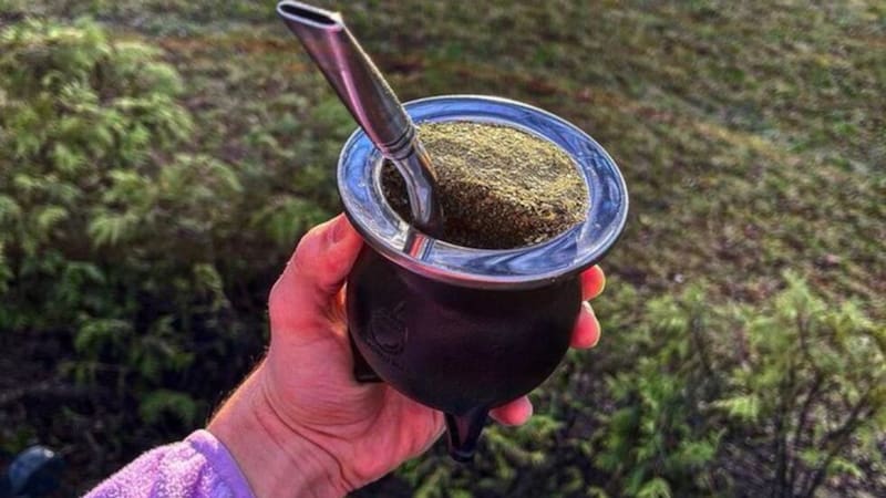 Incorporar yuyos al mate se volvió un hábito popular.