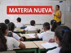 Cambian las clases para siempre: agregaron una materia clave en todas las escuelas del país y será obligatoria