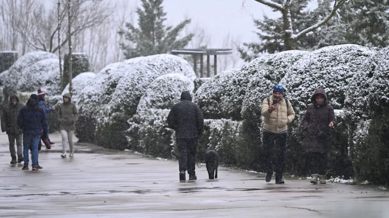 Máxima alerta meteorológica por caída de nieve en estas provincias: cambia el clima y llega el frío al país. Foto: EFE