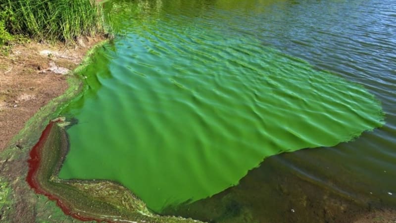 Máxima alerta roja por bacterias tóxicas en ríos importantes de Argentina: en cuáles no hay que meterse. Foto: Gobierno de la provincia de Buenos Aires