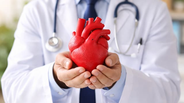 Ni caminata ni bicicleta fija: el ejercicio ideal para cuidar el corazón y mejorar la circulación