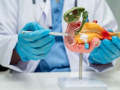 Científicos españoles logran eliminar al 100% el cáncer de páncreas en estos animales: lo probarán en humanos