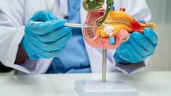 Científicos españoles logran eliminar al 100% el cáncer de páncreas en estos animales: lo probarán en humanos