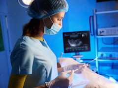 Oficial y confirmado | El Gobierno ampliará el servicio de salud y cualquier ciudadano y extranjero podrá atenderse sin pagar un peso