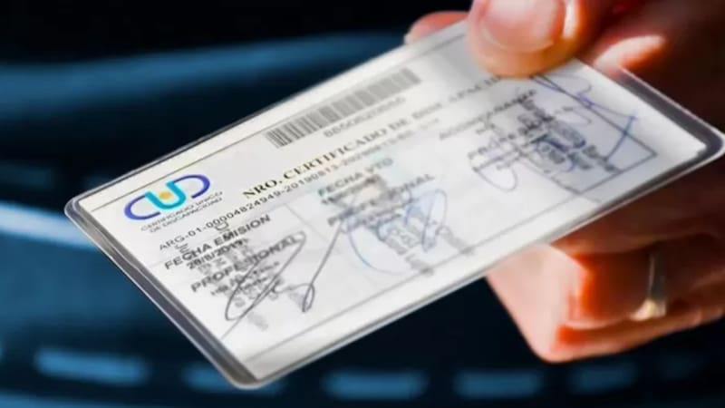 El CUD es un documento que certifica la discapacidad de la persona y le permite acceder a derechos y prestaciones que brinda el Estado. (foto: archivo).