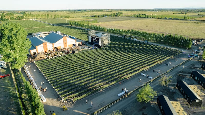 La fiesta de la flor de la vid es un evento que nuclea a las principales bodegas de San Rafael.