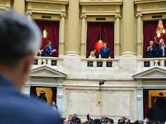 Fondos sin control, la compra de un auto y la renuncia del director: lo que destapó la auditoría de Milei