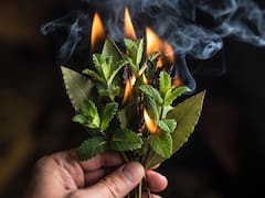 Quemar menta con hojas de laurel: para qué sirve y por qué recomiendan hacerlo