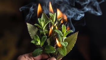 Quemar menta con hojas de laurel: para qué sirve y por qué recomiendan hacerlo