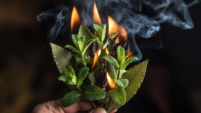 Quemar menta con hojas de laurel: para qué sirve y por qué recomiendan hacerlo