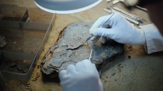 Descubrimiento arqueológico: abren una tumba romana llena de secretos que no han sido revelados por 1700 años