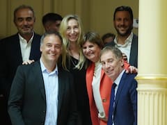 El proyecto da su último paso hacia la sanción: cuál será la versión final de la ley