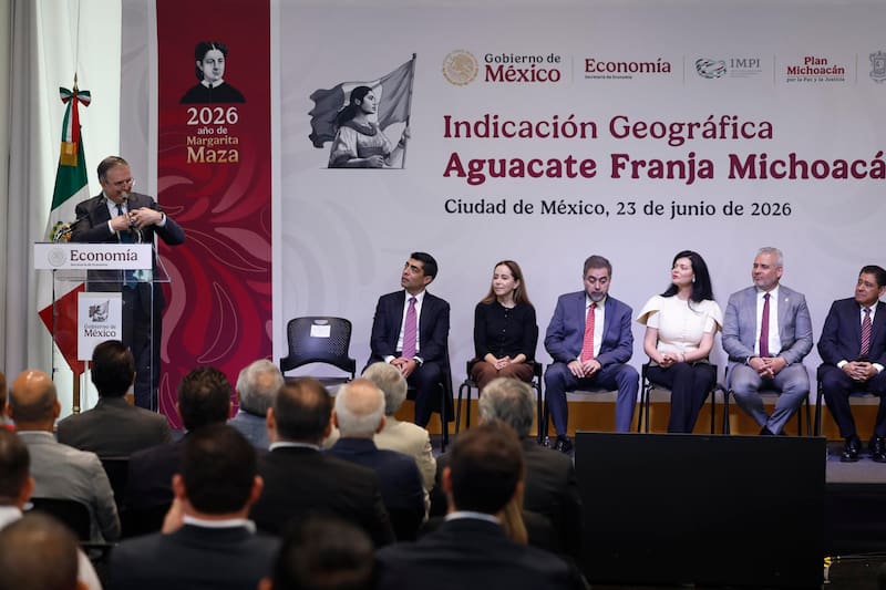 El secretario de Economía de México, Marcelo Ebrard (i), habla en una rueda de prensa este martes, en Ciudad de México (México). EFE/Sáshenka Gutiérrez