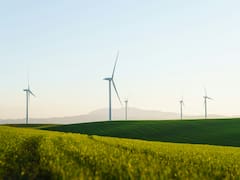Afores ponen en la mira proyectos de carbono mientras el Banco Mundial alerta de bajos precios