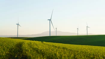 Afores ponen en la mira proyectos de carbono mientras el Banco Mundial alerta de bajos precios