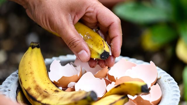 Mezclar cáscaras de banana con cáscara de huevo: para qué sirve y por qué lo recomiendan para los árboles pequeños de hogar