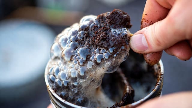 Mezclar detergente con café usado: para qué sirve y por qué recomiendan hacerlo