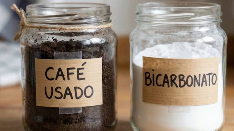 Esta combinación permite reutilizar un residuo cotidiano. (Fuente: archivo)