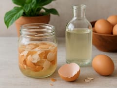 Cáscara de huevo y vinagre: por qué sugieren esta mezcla y cuáles son sus beneficios