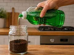 Mezclar el café usado con detergente: para qué sirve y por qué recomiendan hacerlo