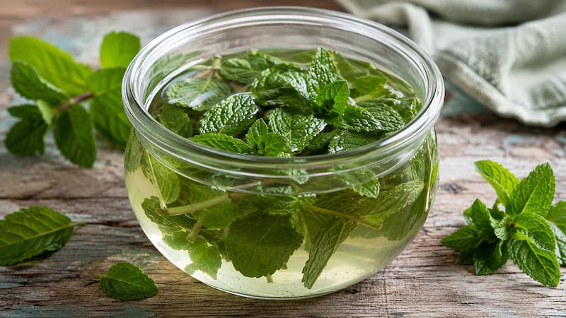 Mezclar hojas de menta fresca con vinagre: por qué lo recomiendan y para qué sirve
Fuente: IA