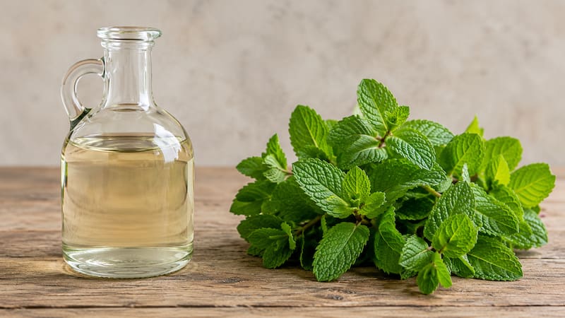 Mezclar hojas de menta fresca con vinagre: por qué lo recomiendan y para qué sirve
Fuente: IA