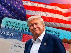 Ni visa ni pasaporte: Estados Unidos permitirá abordar vuelos sin estos documentos a todos los pasajeros que cumplan este requisito