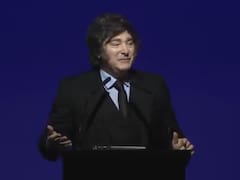 “Sin el ataque político del año pasado, hoy creceríamos al 7%”, dijo Milei y anticipó el salto al investment grade