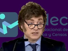 Cuánto debés cobrar al mes para ser de clase media, según el Gobierno