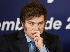 El dilema Milei: sigue siendo el favorito, pero la sociedad cree que lo peor “está por venir”