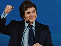 Fuerte rebote en la imagen de Milei y un dato clave sobre el futuro