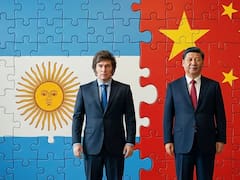 El súper paquete que prepara el Gobierno para destrabar negocios con China
