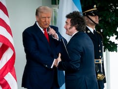 La Argentina se alineó con Trump en la ONU y disimuló una incómoda diferencia con la Casa Blanca