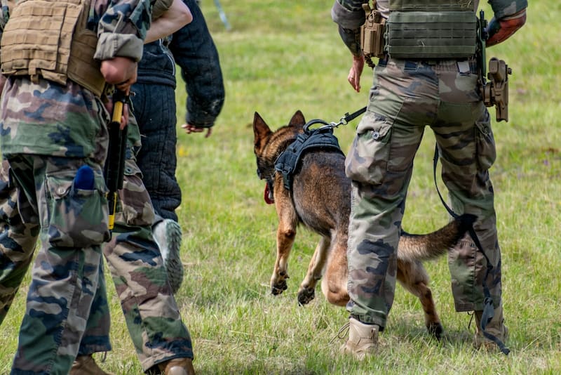 Otras excepciones poco conocidas para no realizar el Servicio Militar.