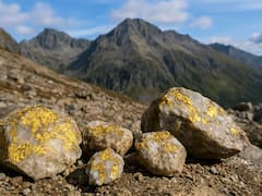 La minería mexicana tiene un potencial adicional por 4,000 MDD en inversiones detenidas