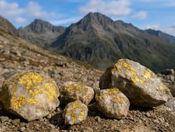 El gigante de los ascensores ahora mira armamento, minería y fertilizantes