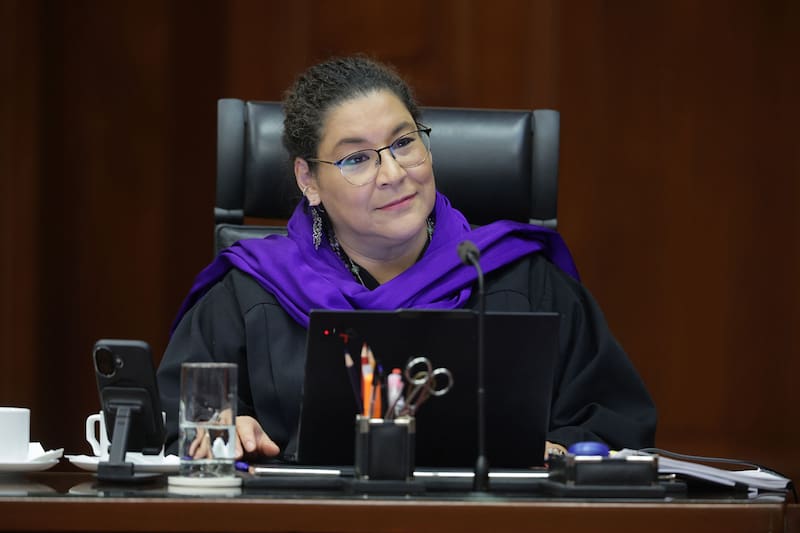 Es licenciada en Derecho, maestra en Derecho Penal, maestra en Gestión Pública, maestra en Estudios de la Ciudad, candidata a doctora en Estudios de la Ciudad y doctorante en Derecho Constitucional. Fue diputada federal en la LVII Legislatura de Congreso de la Unión.