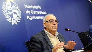 Acuerdo entre Argentina y EEUU “no es una buena señal para fortalecer el Mercosur”