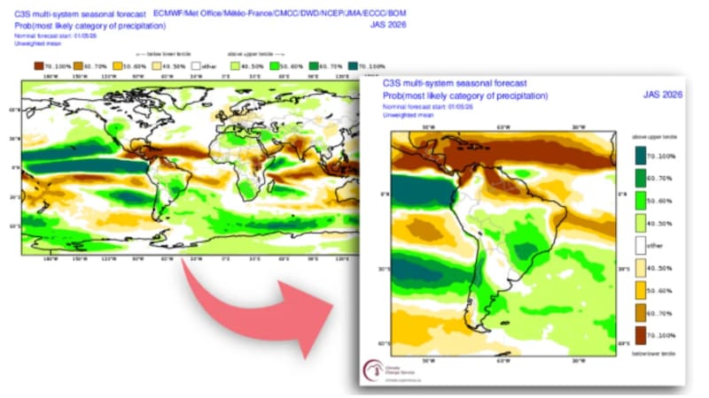 Previsión climática de precipitaciones del conjunto multimodelo de Copernicus para julio, agosto y septiembre, con especial atención a Sudamérica. Créditos: Elaborado por Meteored/Fuente: Copernicus/ECMWF.