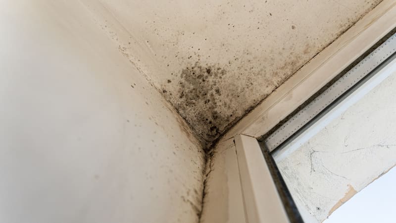 <div class="migrated-promo-image__description"><div class="migrated-promo-image__source">Fuente: Shutterstock</div></div>