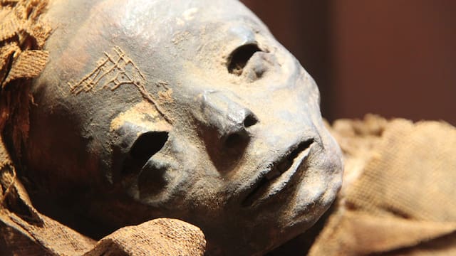 Hallazgo inédito | Arqueólogos descubren una copia de la Ilíada de Homero en el interior de una momia del Antiguo Egipto