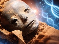 Cambia la historia para siempre: hallan una de las enfermedades más antiguas de la historia que estuvo perdida por 5,500 años