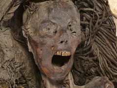 La mujer que murió sola en su apartamento y se convirtió en momia: el caso de Hedviga Golik