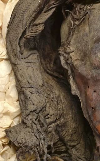 La mujer que murió sola en su apartamento y se convirtió en momia: el caso de Hedviga Golik