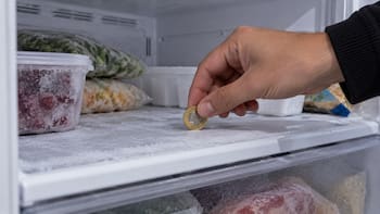 Poner una moneda en el freezer antes de salir de viaje: para qué sirve y por qué lo recomiendan