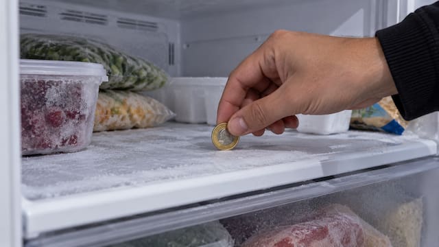 Poner una moneda en el freezer antes de salir de viaje: para qué sirve y por qué lo recomiendan